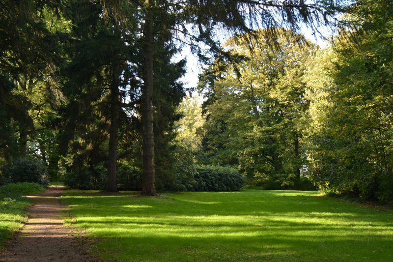 missing image